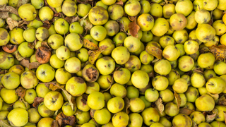 The Incredibly Wrong Reason Americans Waste So Much Food
